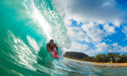 Etiam commodo convallis