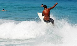 Suspendisse arcu nisl