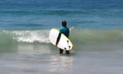 Aliquam erat volutpat