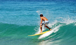 Sed blandit massa vel